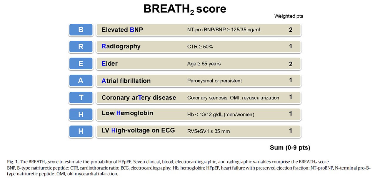 プライマリケアで使えるHFpEF診断ツール「BREATH2スコア」～心エコーなしで心不全を見逃さない7項目チェックリスト～ – やまちゃんの ...